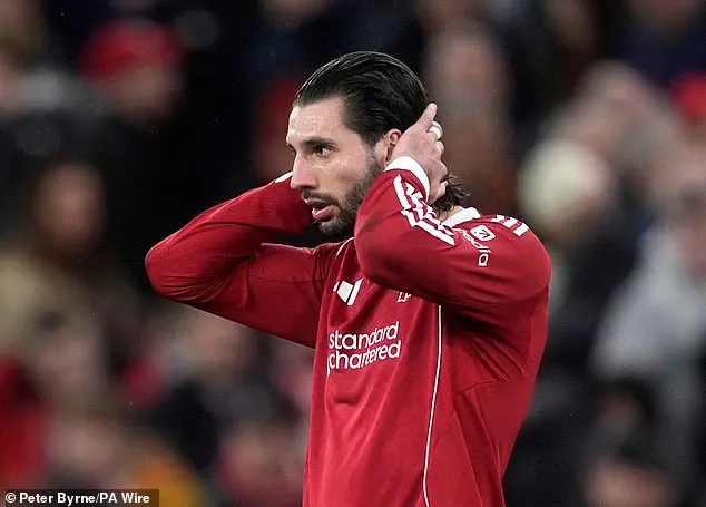 乐鱼官网-索博：我理解球迷的愤怒，但请你们依然站在我们身后